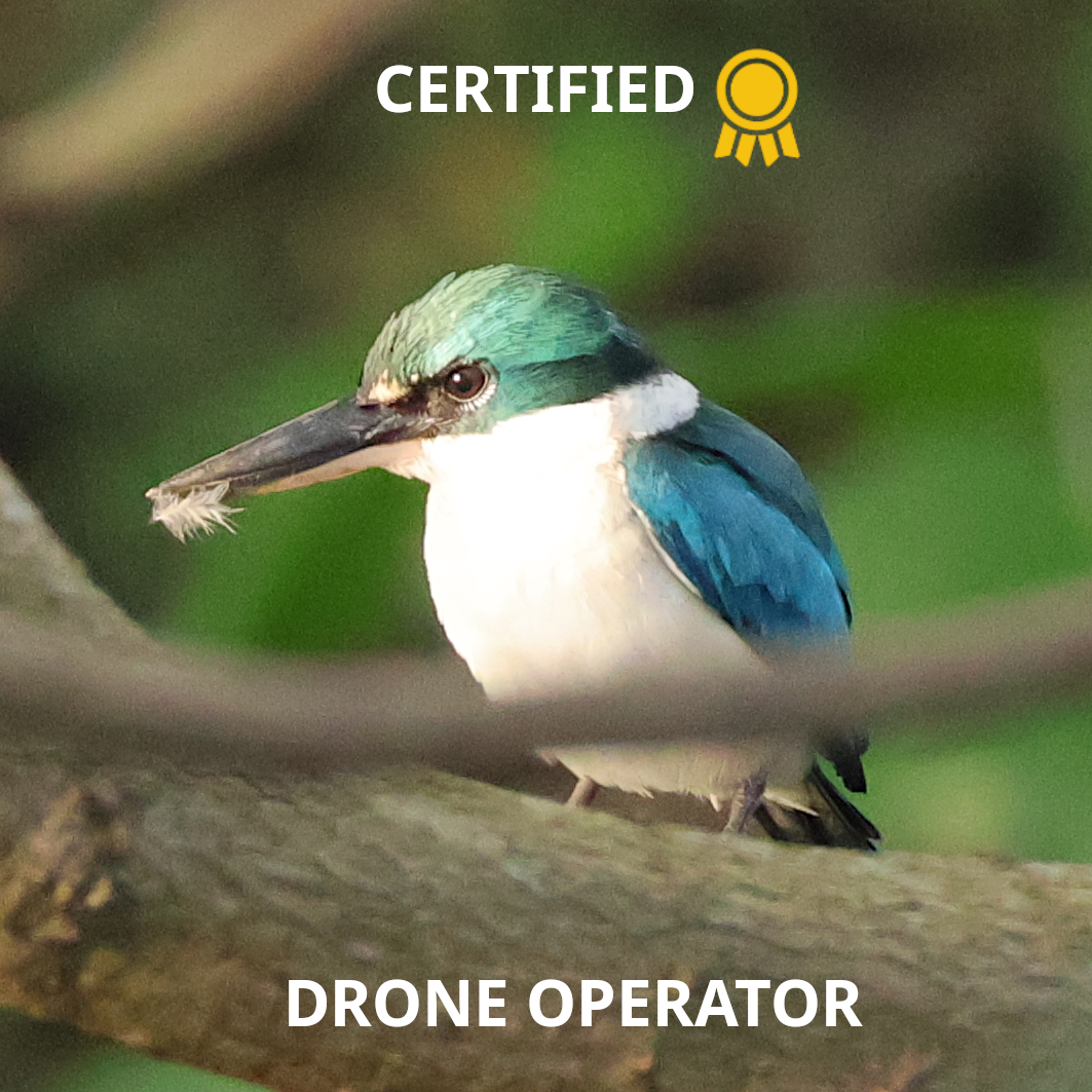 Certified drone operator